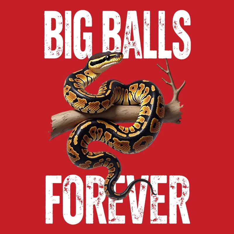 Python roi Serpents Amateurs de terrarium Python