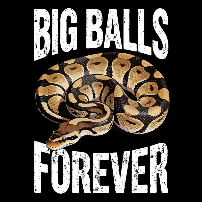 Python roi Serpents Amateurs de terrarium Python