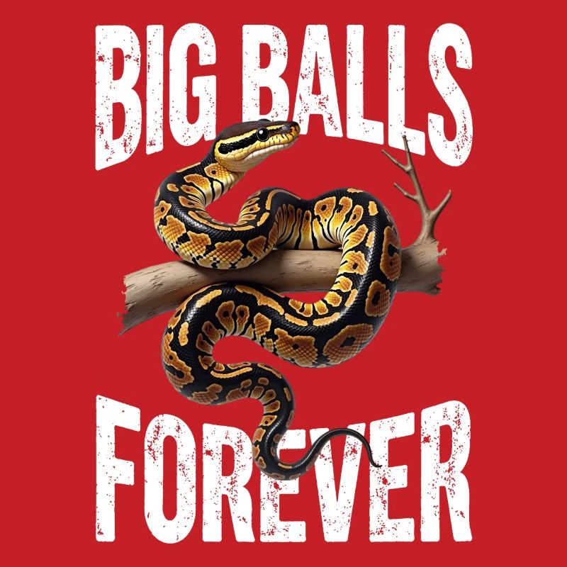 Python roi Serpents Amateurs de terrarium Python