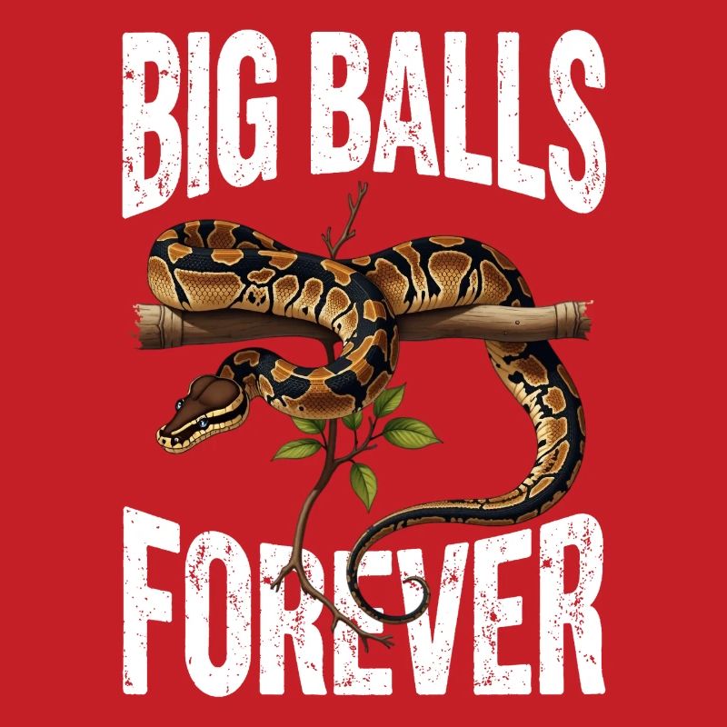 Python roi Serpents Amateurs de terrarium Python