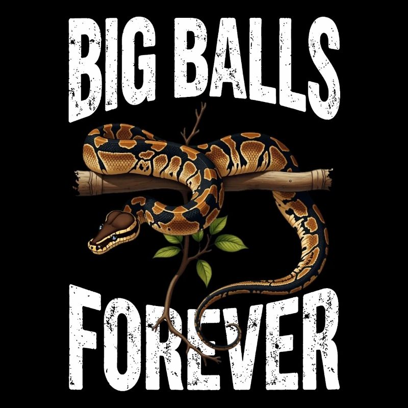 Python roi Serpents Amateurs de terrarium Python
