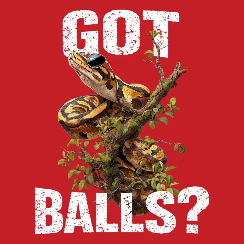 Python roi Serpents Amateurs de terrarium Python