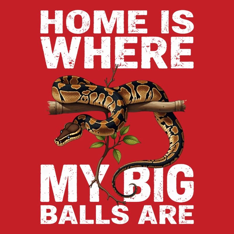 King Python Snakes Lover Terrarium Python