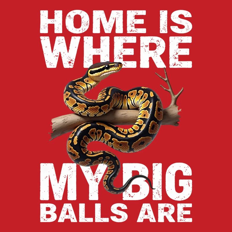 Python roi Serpents Amateurs de terrarium Python