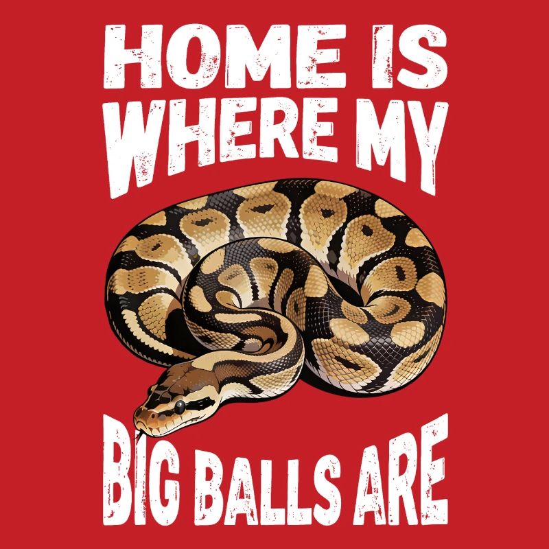 King Python Snakes Lover Terrarium Python