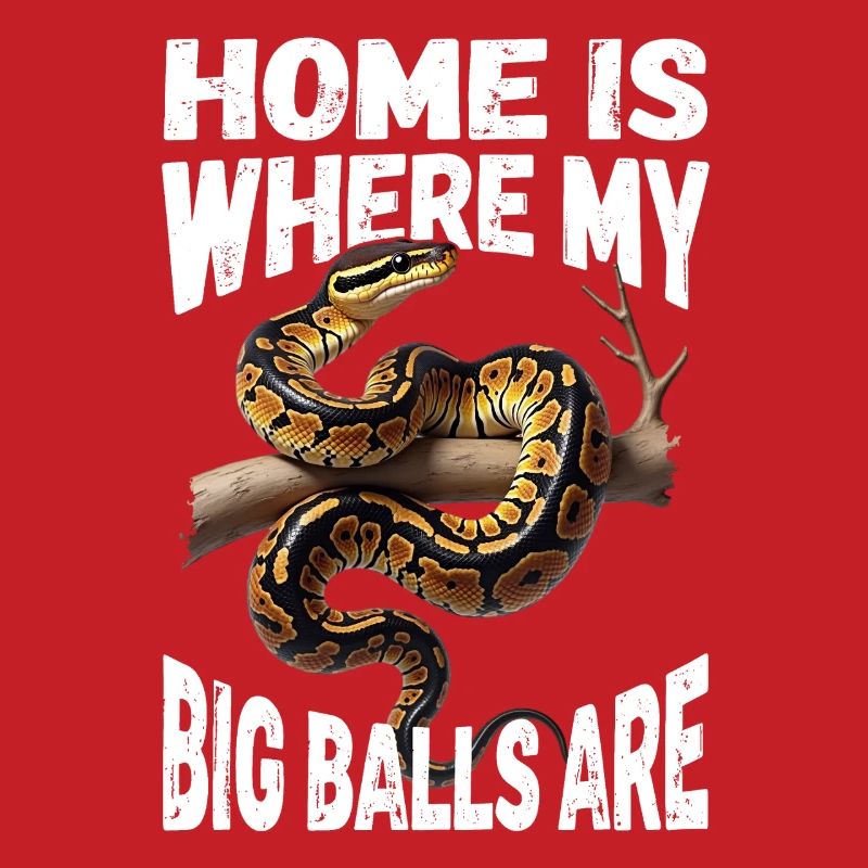 Python roi Serpents Amateurs de terrarium Python