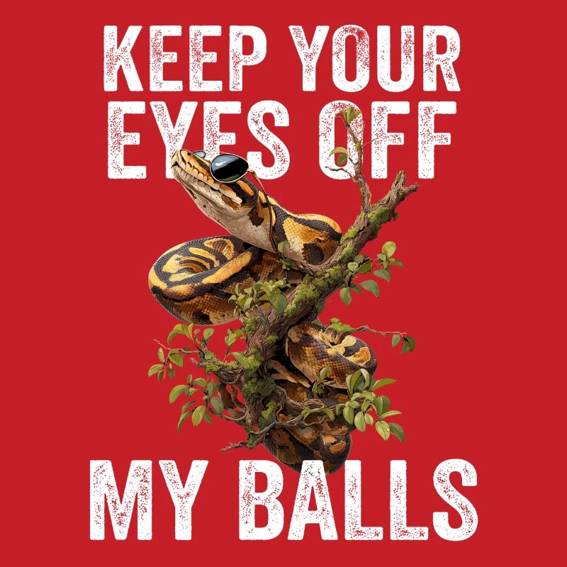 Königspython Schlangen Liebhaber Terrarium Python