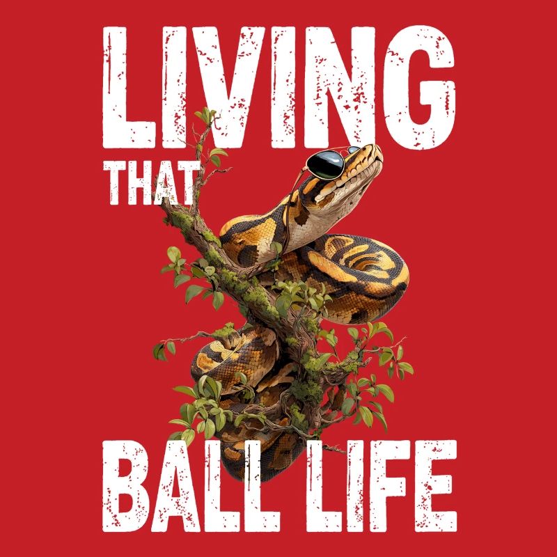 Königspython Schlangen Liebhaber Terrarium Python