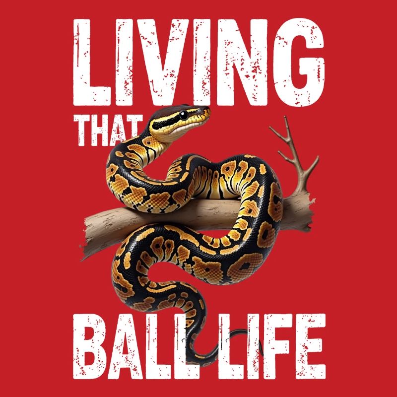 Python roi Serpents Amateurs de terrarium Python