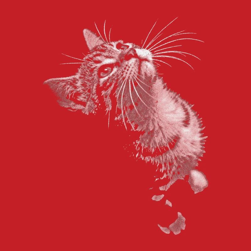 Graustufen Katzenschnurrer Blick