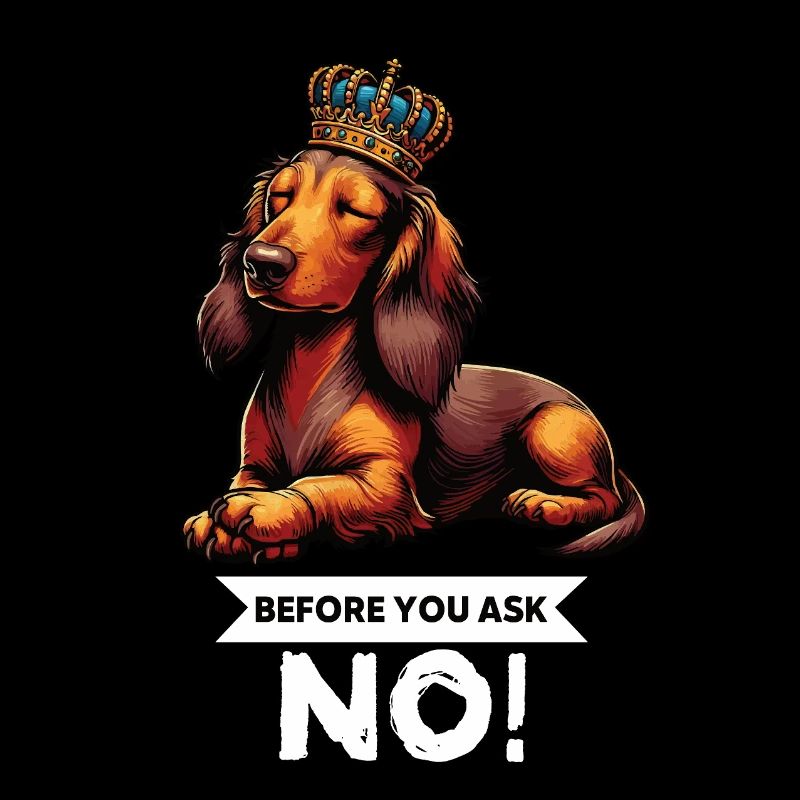 Before You Ask Langhaardackel Dackel Teckel Tekkel