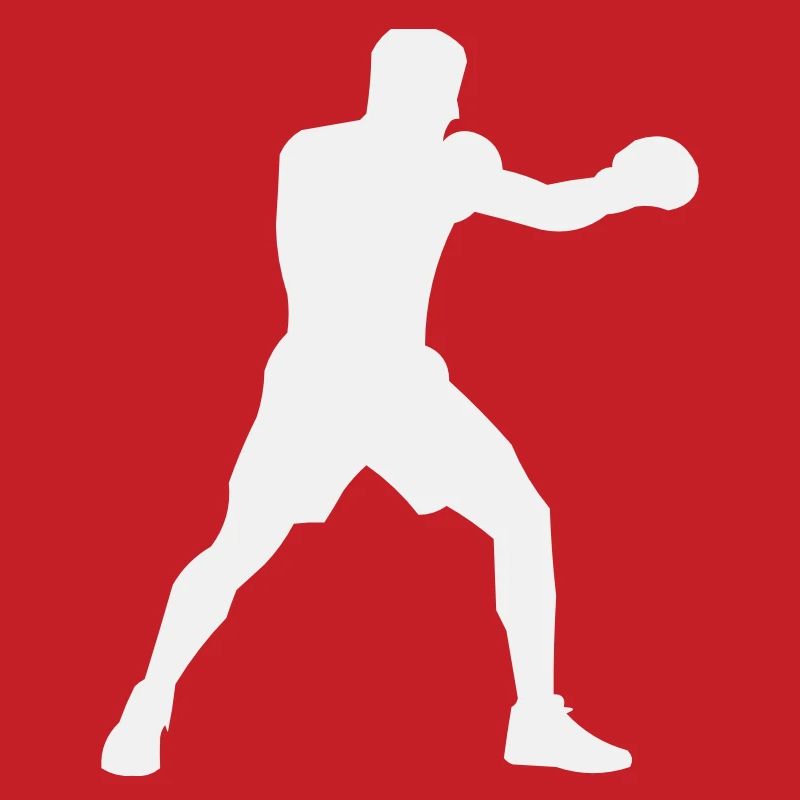 Boost de puissance de la Boxsilhouette