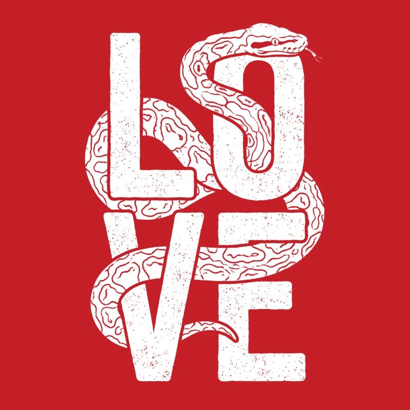 King Python Snakes LOVE Terrarium Python