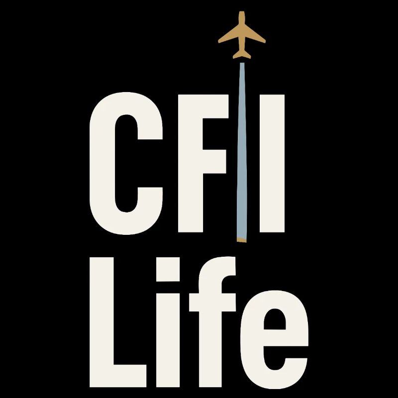 Flight Instructor Cfi Pilot Aviation Instructor