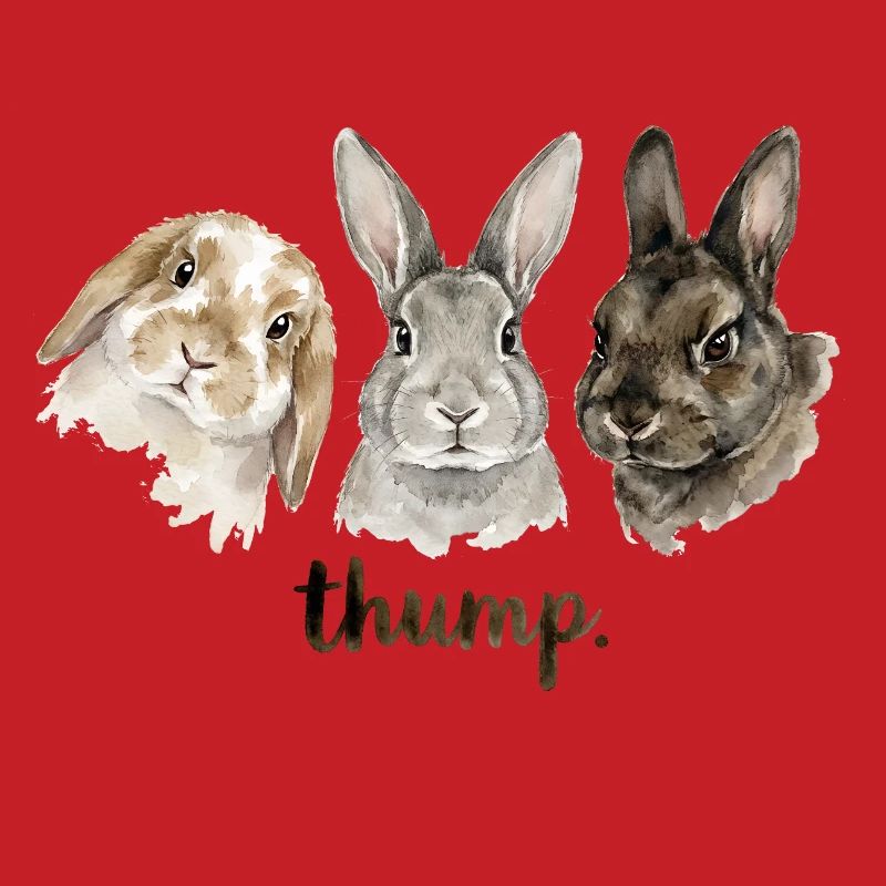 Fun rabbit knocking for rabbit lovers