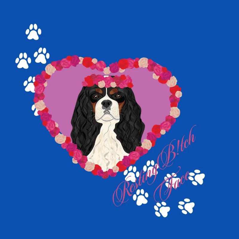 Ruhende B!tch Face Cavalier King