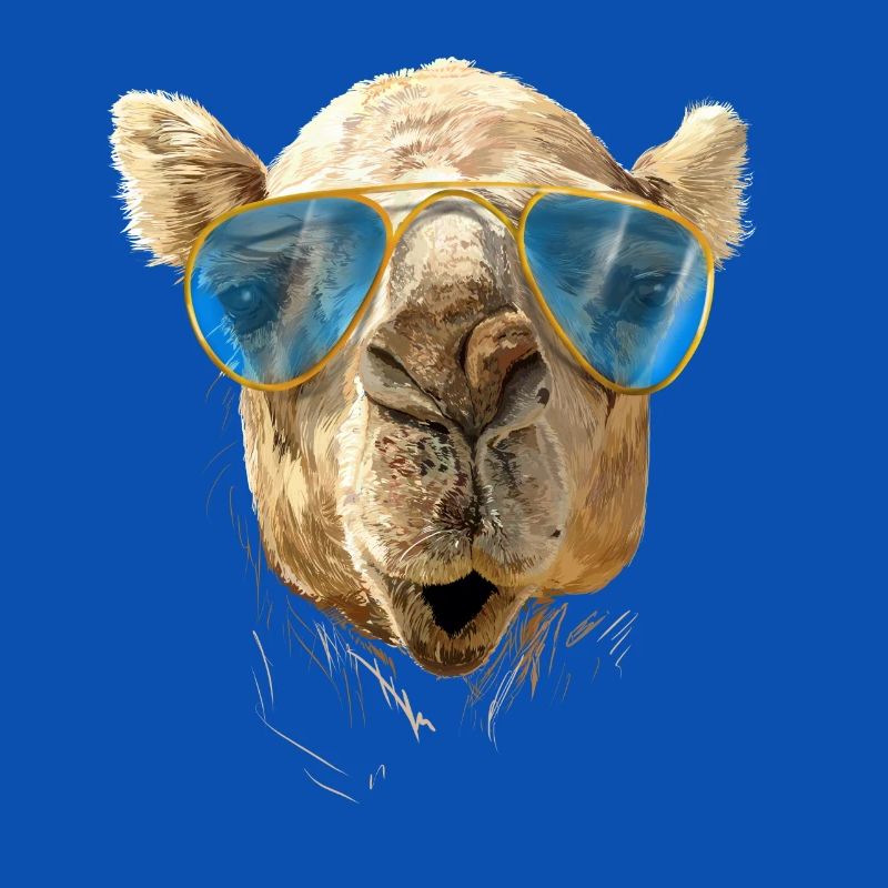 Kamel mit Sonnenbrille
