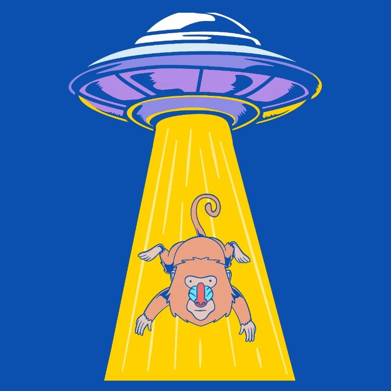 Baboon Primate Monkey Monkey Baboon