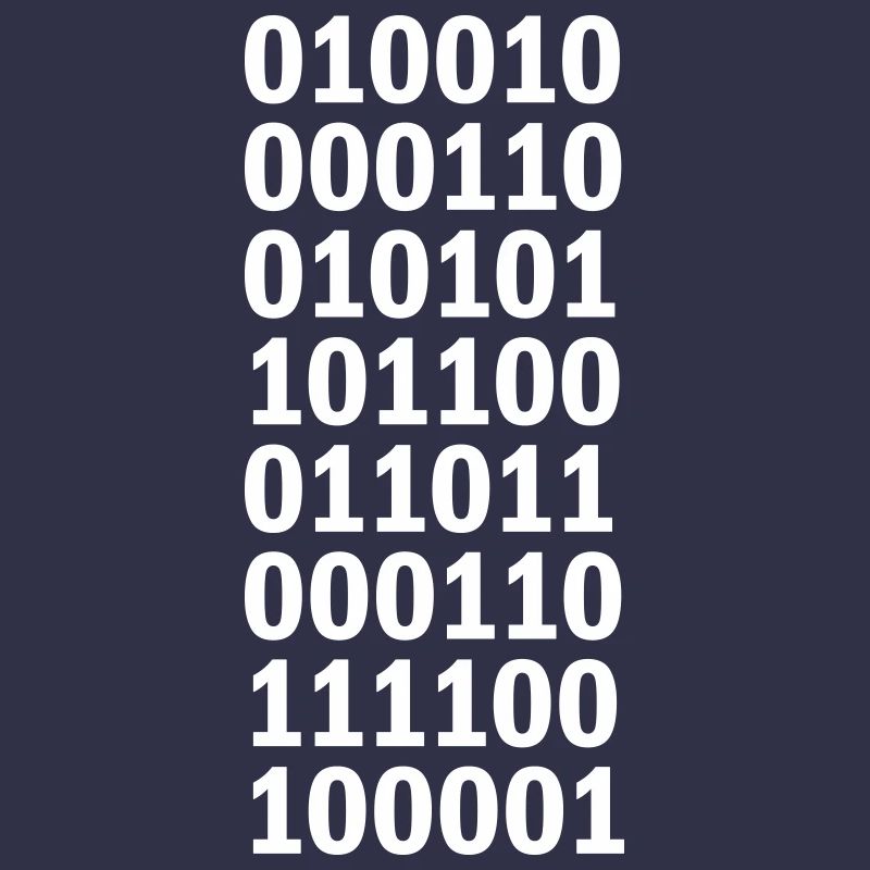 Langage de programme de code binaire