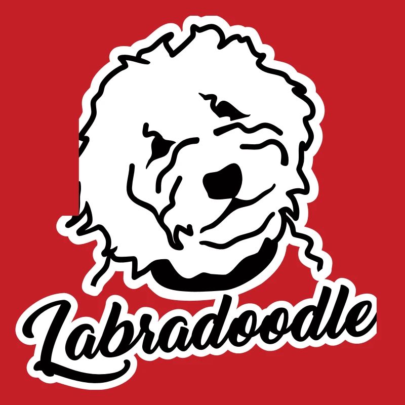 Labradoodle