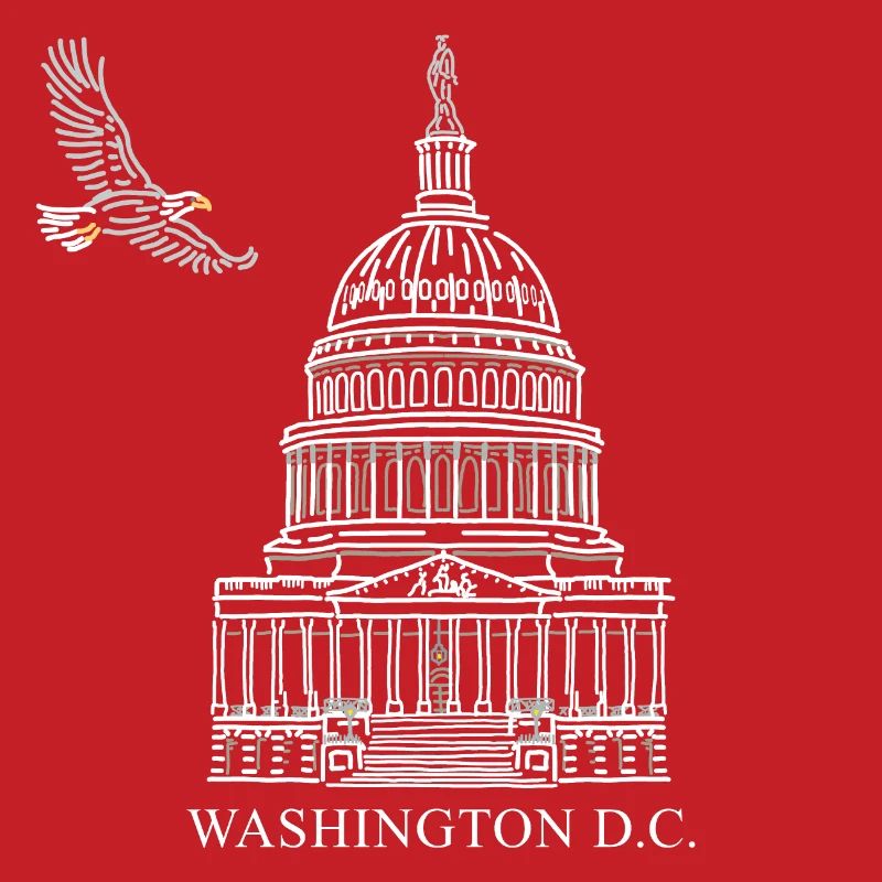 Washington D.C., Capitol Structure, Bald Eagle