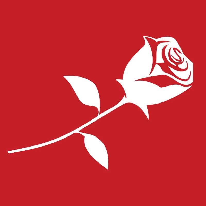 Eine Rose