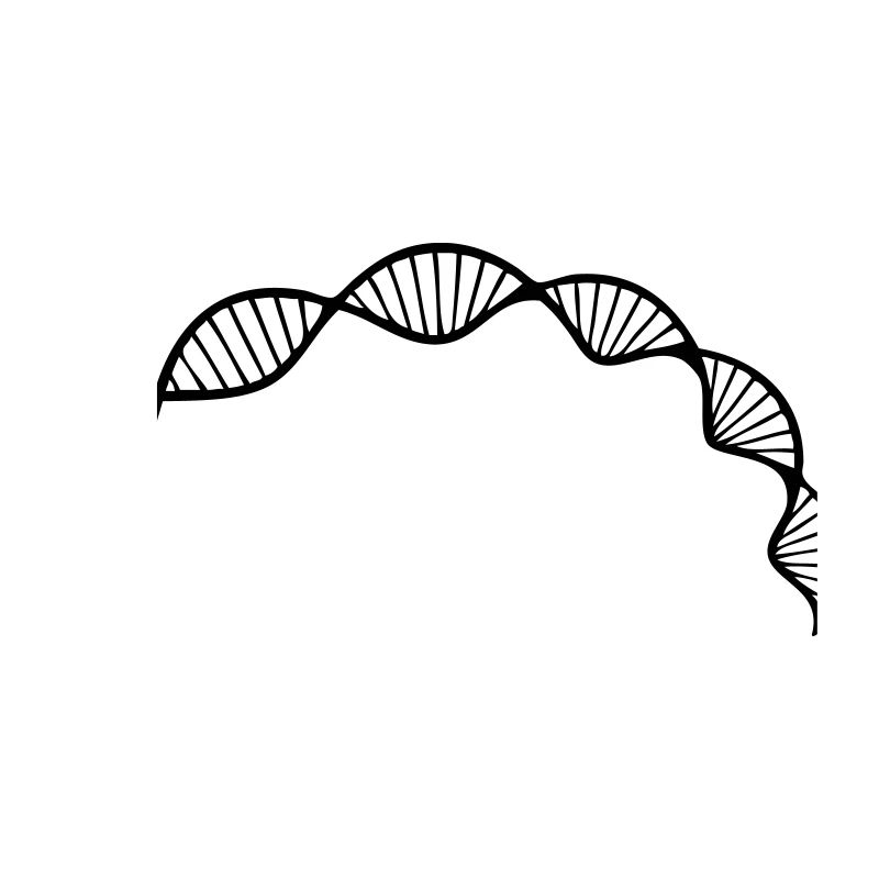 DNA double helix structure cell sequence