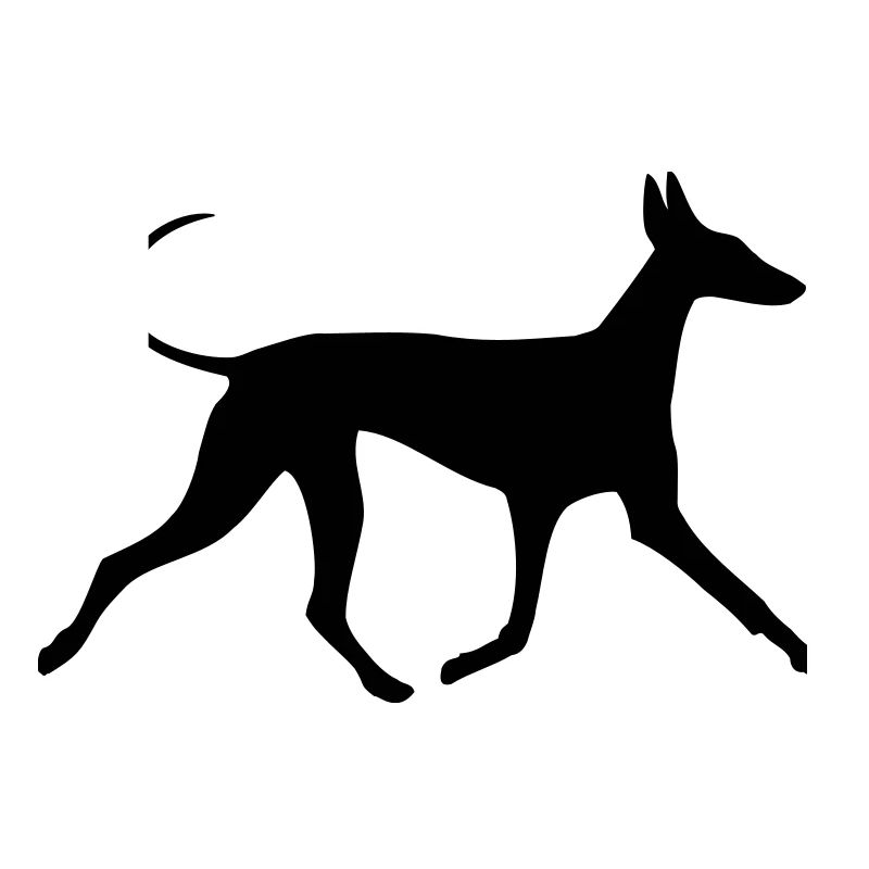 Pharaoh Hound
