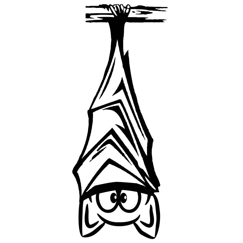 bat hanging