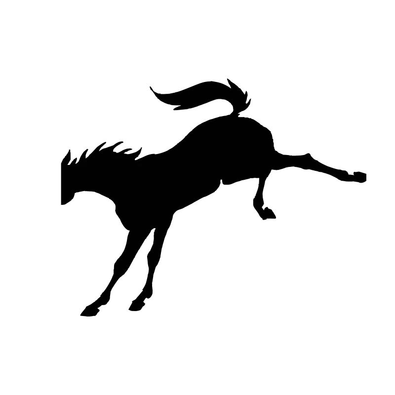 Bronco