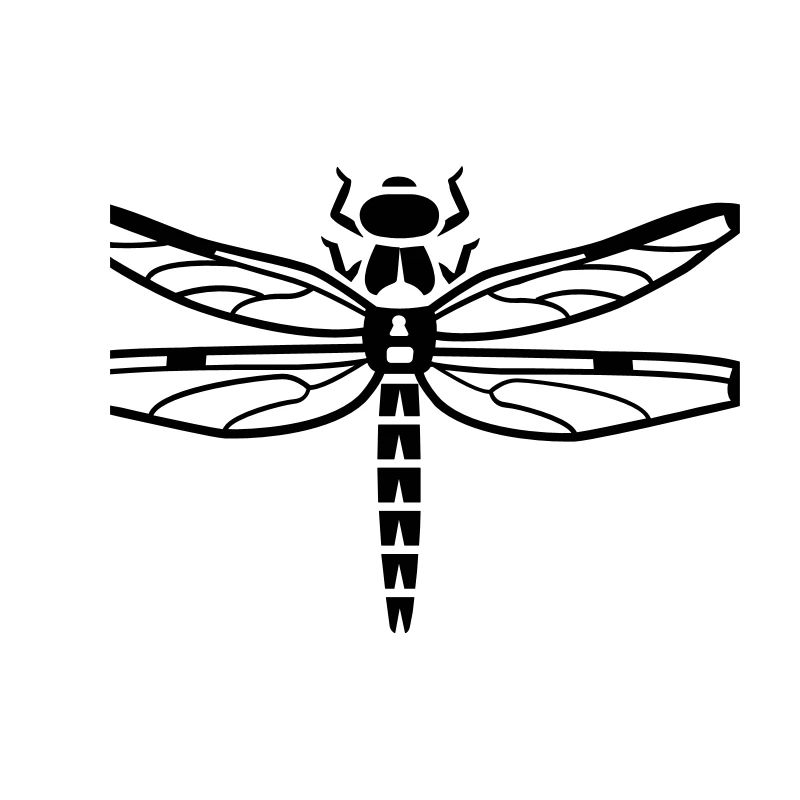 Dragonfly - insect