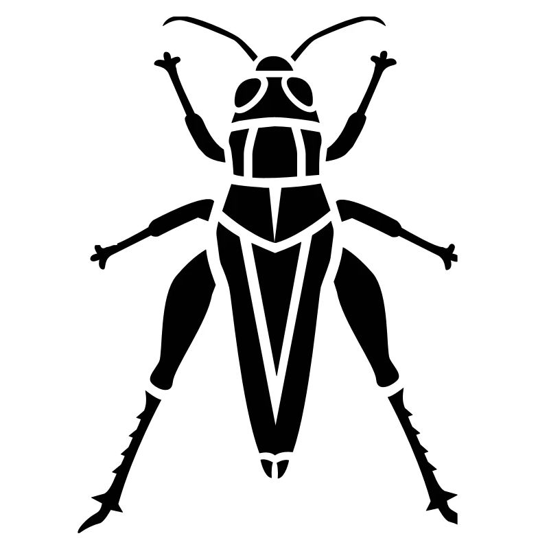Insectes - Grasshopper