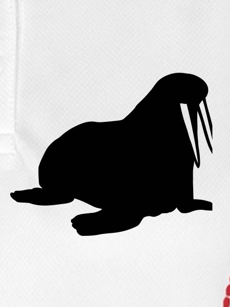 Walrus
