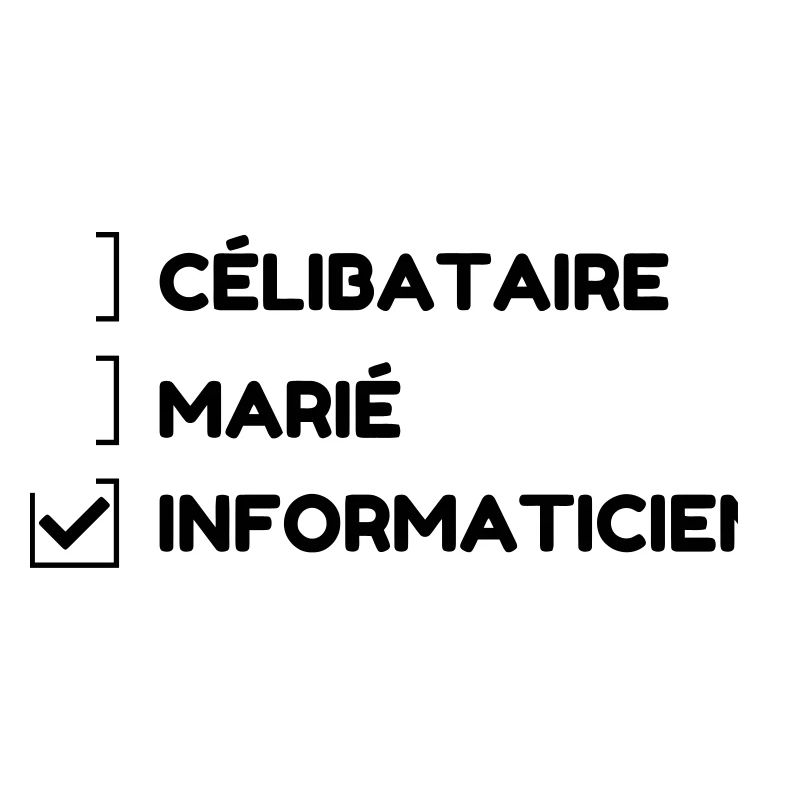 Computer Engineer Informatiker Informaticien