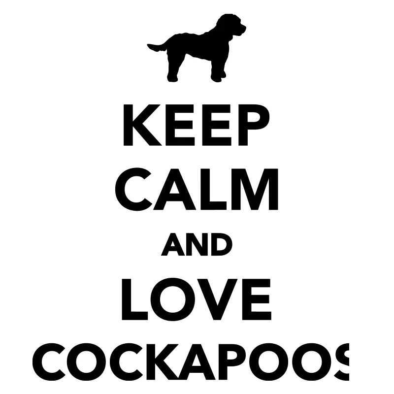 Cockapoo