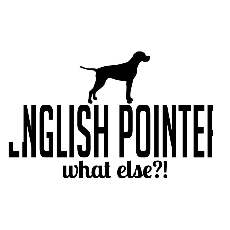 ENGLISH POINTER what else