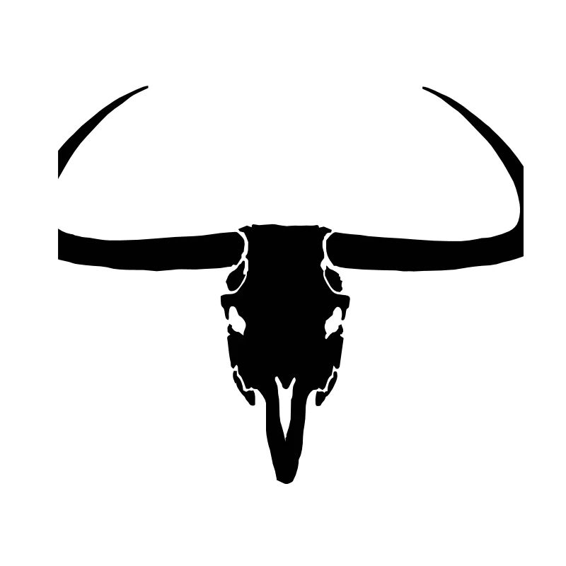 Longhorn Schädel