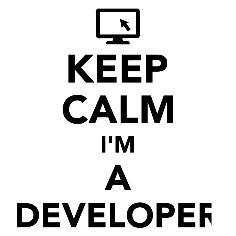 Developer