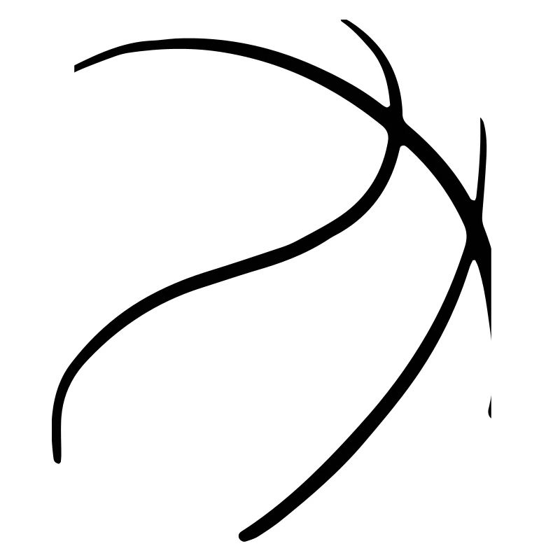 Basket-ball 12