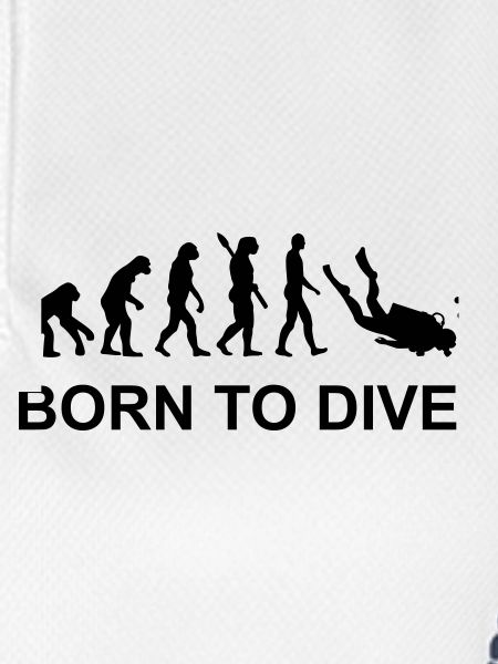Evolution Diving
