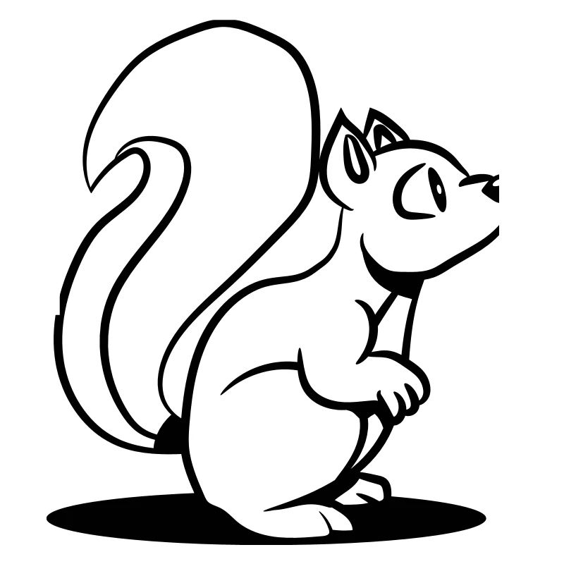 Écureuils doux mignon