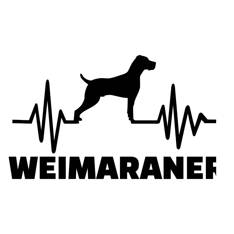 Weimaraner