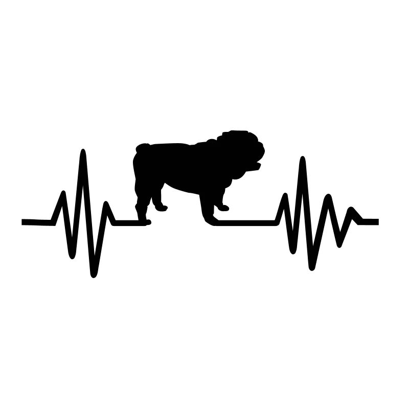 Anglais Bouledogue