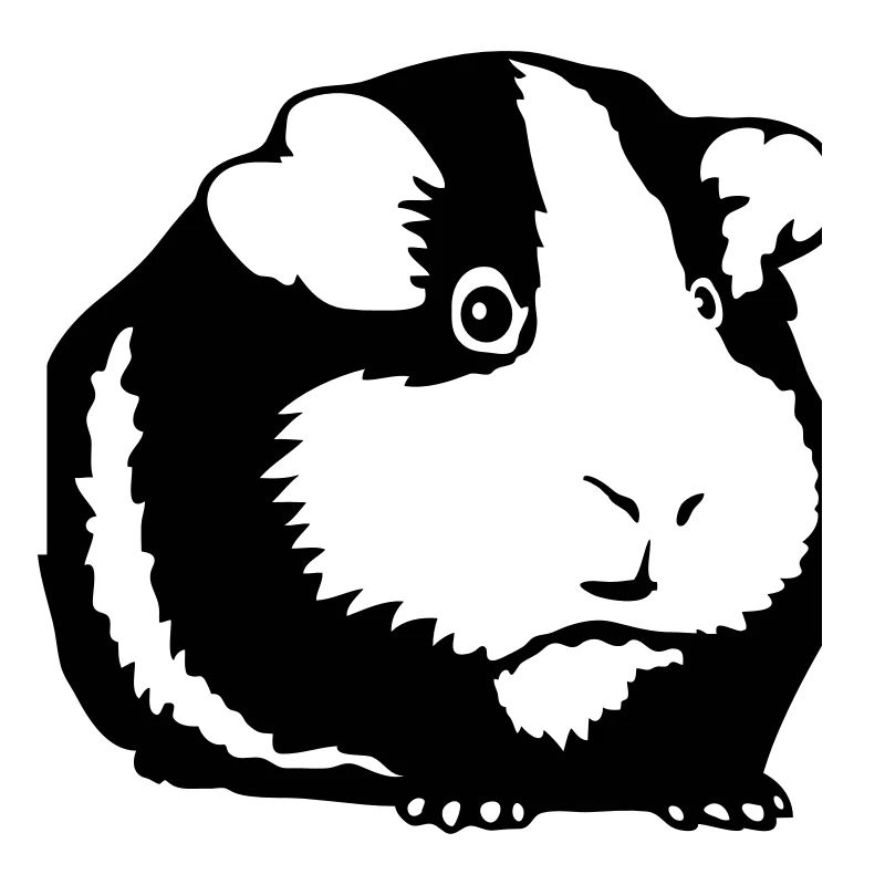 Hamster