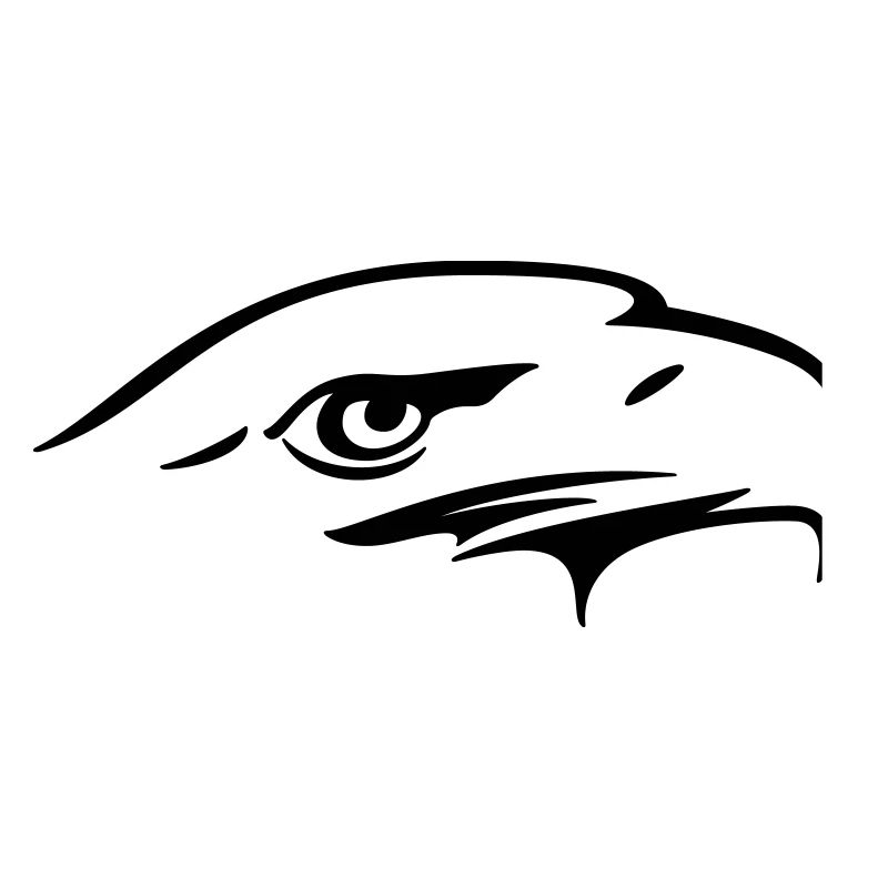 Eagle eye - Illustration vectorielle