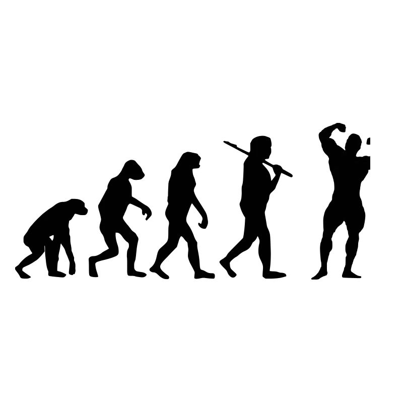 Fitness Evolution