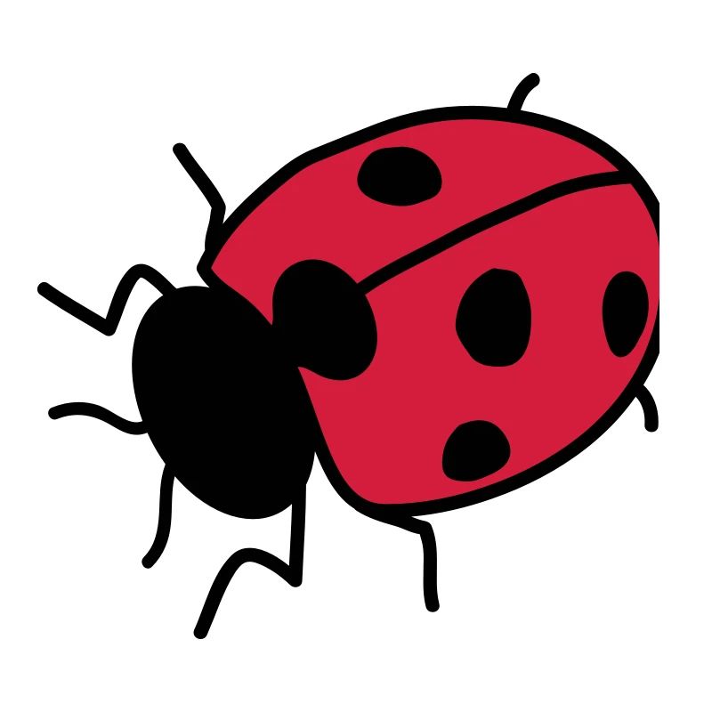 Ladybug
