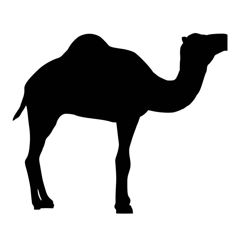 Kamel