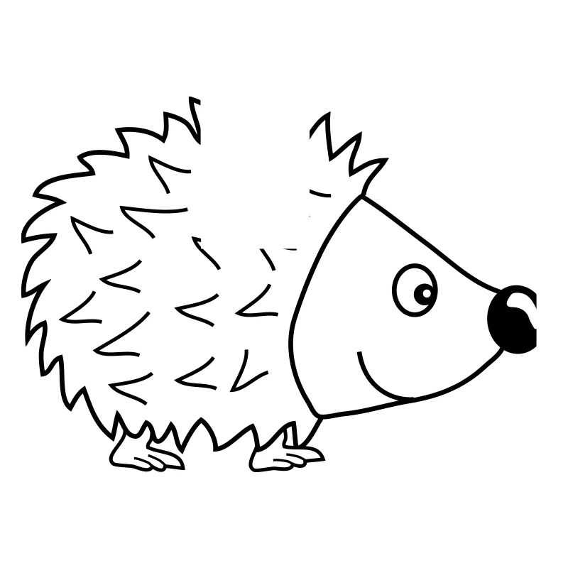 igel_1