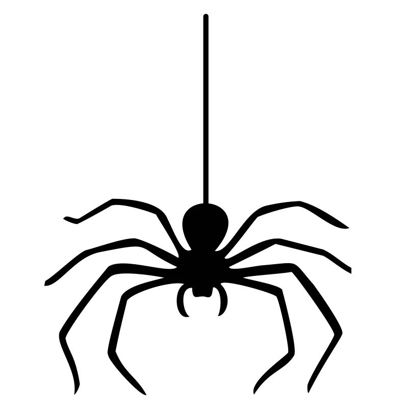 Spider / Spinne